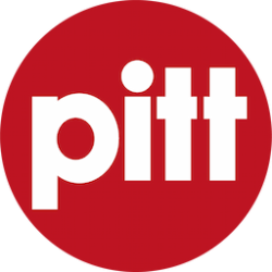 Pitt-IT Professionals