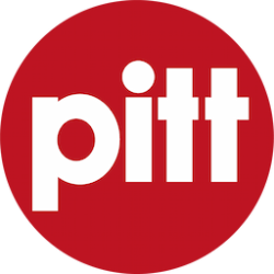 Pitt-IT Professionals