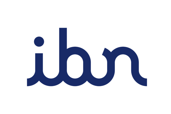 IBN