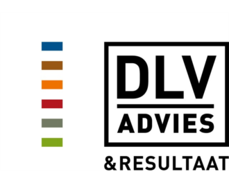 DLV Advies