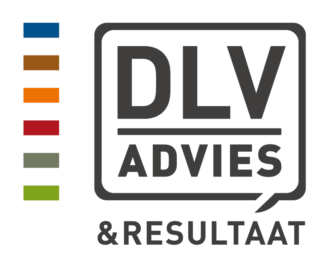 DLV Advies