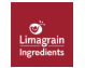 Limagrain Nederland BV