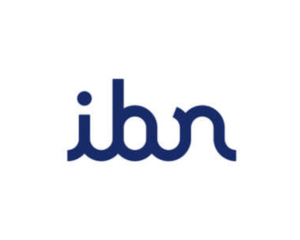 IBN